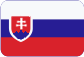 Учреждение фирм в Чешской Республике Slovensky
